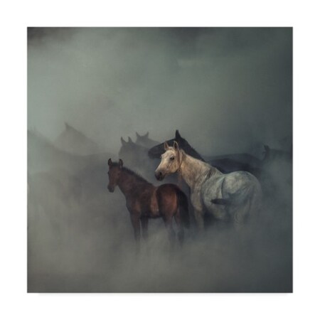 Trademark Fine Art Huseyin Taskin 'The Lost Horses' Canvas Art, 14x14 1X07768-C1414GG